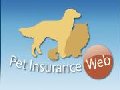 Pet Insurance